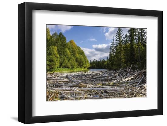 Premium Photographic Print, , large
