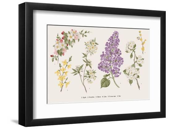 Premium Photographic Print, , large