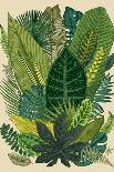 Vector Vintage Composition. Exotic Leaves. Botanical Classic Illustration.-Olga Korneeva-Stretched Canvas