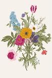 Herbs and Wild Flowers. Botany. Set. Vintage Flowers. Colorful Illustration in the Style of Engravi-Olga Korneeva-Art Print