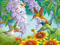 Flowers and Hummingbirds-Olga Kovaleva-Framed Giclee Print