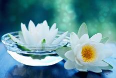 White Lotus Flower-Olga Miltsova-Laminated Photographic Print