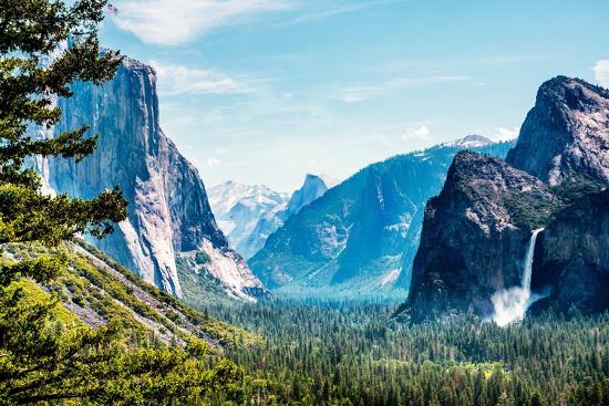 Premium Photographic Print, , large