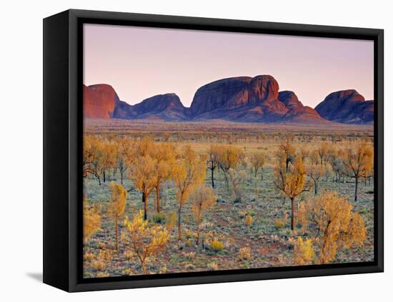 Olgas, Northern Territories, Australia-Doug Pearson-Framed Stretched Canvas