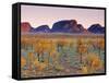 Olgas, Northern Territories, Australia-Doug Pearson-Framed Stretched Canvas