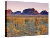 Olgas, Northern Territories, Australia-Doug Pearson-Stretched Canvas