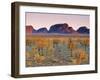 Olgas, Northern Territories, Australia-Doug Pearson-Framed Photographic Print