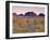 Olgas, Northern Territories, Australia-Doug Pearson-Framed Photographic Print