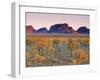 Olgas, Northern Territories, Australia-Doug Pearson-Framed Photographic Print