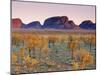 Olgas, Northern Territories, Australia-Doug Pearson-Mounted Photographic Print