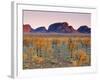Olgas, Northern Territories, Australia-Doug Pearson-Framed Photographic Print