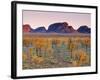 Olgas, Northern Territories, Australia-Doug Pearson-Framed Photographic Print