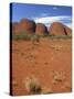 Olgas, Uluru-Kata Tjuta National Park, Northern Territory, Australia, Pacific-Pitamitz Sergio-Stretched Canvas