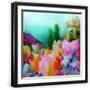 Black Frame
