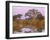 Olifants River, Kruger National Park, South Africa, Africa-Patrick Dieudonne-Framed Photographic Print