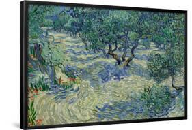 Olijfgaard / Olive Orchard / Olive Grove. Date/Period: Saint-Rémy, June 1889. Painting. Oil on c...-VINCENT VAN GOGH-Framed Poster