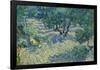 Olijfgaard / Olive Orchard / Olive Grove. Date/Period: Saint-Rémy, June 1889. Painting. Oil on c...-VINCENT VAN GOGH-Framed Poster