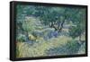 Olijfgaard / Olive Orchard / Olive Grove. Date/Period: Saint-Rémy, June 1889. Painting. Oil on c...-VINCENT VAN GOGH-Framed Poster