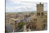 Olite from the Top of the Royal Palace-Hal Beral-Stretched Canvas