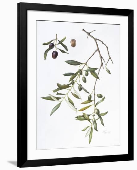 Olive, 1995-Margaret Ann Eden-Framed Giclee Print