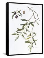 Olive, 1995-Margaret Ann Eden-Framed Stretched Canvas