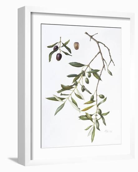 Olive, 1995-Margaret Ann Eden-Framed Giclee Print