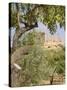 Olive and Almond Trees and the Temple of Juno, Valley of the Temples, Agrigento, Sicily, Italy-Olivieri Oliviero-Stretched Canvas