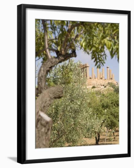 Olive and Almond Trees and the Temple of Juno, Valley of the Temples, Agrigento, Sicily, Italy-Olivieri Oliviero-Framed Photographic Print