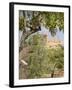 Olive and Almond Trees and the Temple of Juno, Valley of the Temples, Agrigento, Sicily, Italy-Olivieri Oliviero-Framed Photographic Print