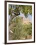 Olive and Almond Trees and the Temple of Juno, Valley of the Temples, Agrigento, Sicily, Italy-Olivieri Oliviero-Framed Photographic Print