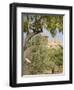 Olive and Almond Trees and the Temple of Juno, Valley of the Temples, Agrigento, Sicily, Italy-Olivieri Oliviero-Framed Photographic Print