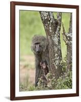 Olive Baboon Mother and Infant, Serengeti National Park, Tanzania-James Hager-Framed Photographic Print