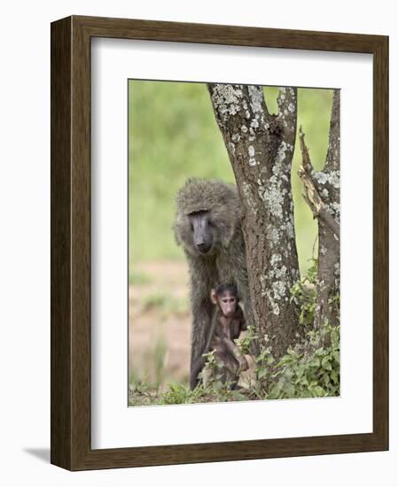 Olive Baboon Mother and Infant, Serengeti National Park, Tanzania-James Hager-Framed Photographic Print