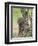 Olive Baboon Mother and Infant, Serengeti National Park, Tanzania-James Hager-Framed Photographic Print