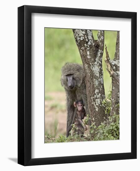 Olive Baboon Mother and Infant, Serengeti National Park, Tanzania-James Hager-Framed Photographic Print