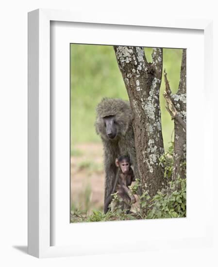 Olive Baboon Mother and Infant, Serengeti National Park, Tanzania-James Hager-Framed Photographic Print