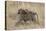 Olive Baboon (Papio Cynocephalus Anubis) Infant Riding-James Hager-Stretched Canvas