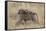 Olive Baboon (Papio Cynocephalus Anubis) Infant Riding-James Hager-Framed Stretched Canvas
