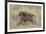 Olive Baboon (Papio Cynocephalus Anubis) Infant Riding-James Hager-Framed Photographic Print