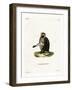 Olive Baboon-null-Framed Giclee Print