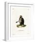 Olive Baboon-null-Framed Giclee Print