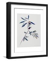 Olive Branch, 1995-Rebecca John-Framed Giclee Print