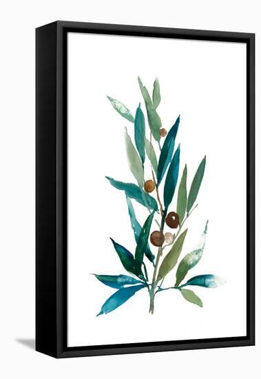 Olive Branch I-Asia Jensen-Framed Stretched Canvas