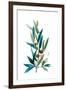 Olive Branch I-Asia Jensen-Framed Art Print