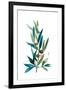 Olive Branch I-Asia Jensen-Framed Art Print