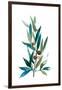 Olive Branch I-Asia Jensen-Framed Art Print