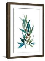 Olive Branch I-Asia Jensen-Framed Art Print