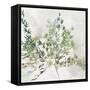 Olive Branch-Asia Jensen-Framed Stretched Canvas