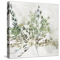 Olive Branch-Asia Jensen-Stretched Canvas