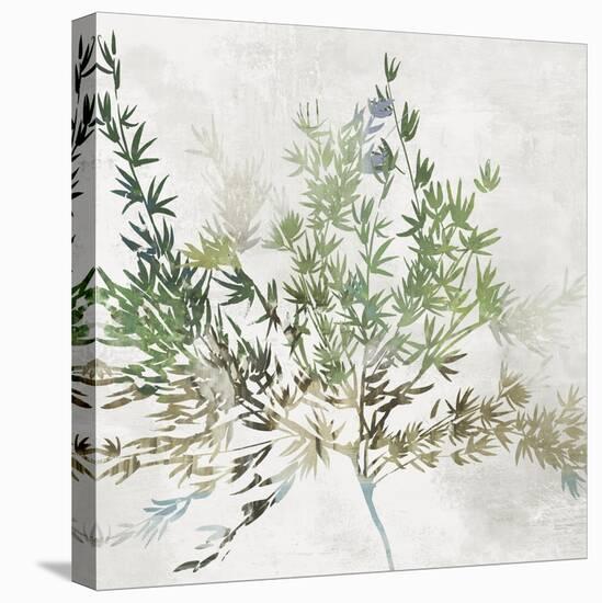 Olive Branch-Asia Jensen-Stretched Canvas